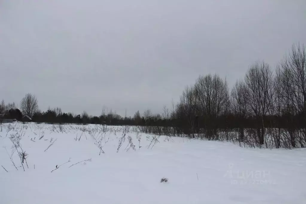 Участок в Московская область, Шаховская муниципальный округ, с. ... - Фото 1