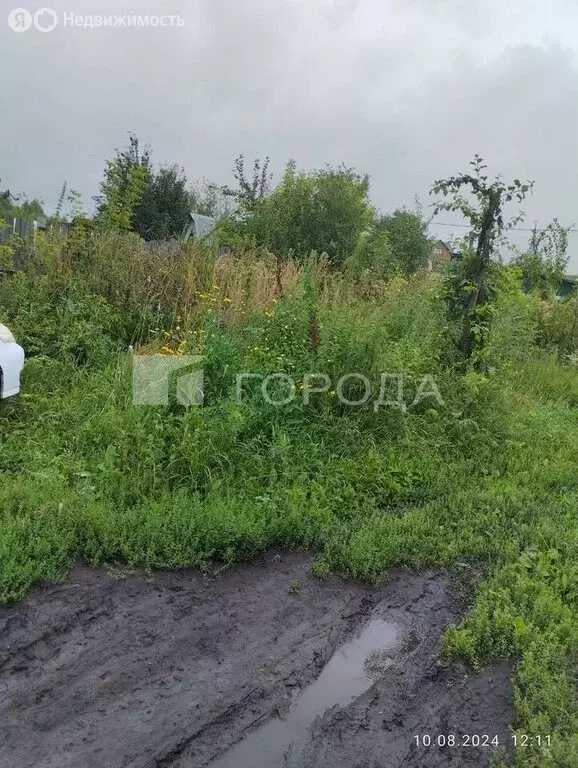 Участок в Новосибирск, ТСН Восход Пашинский, 69 (3.9 м) - Фото 2