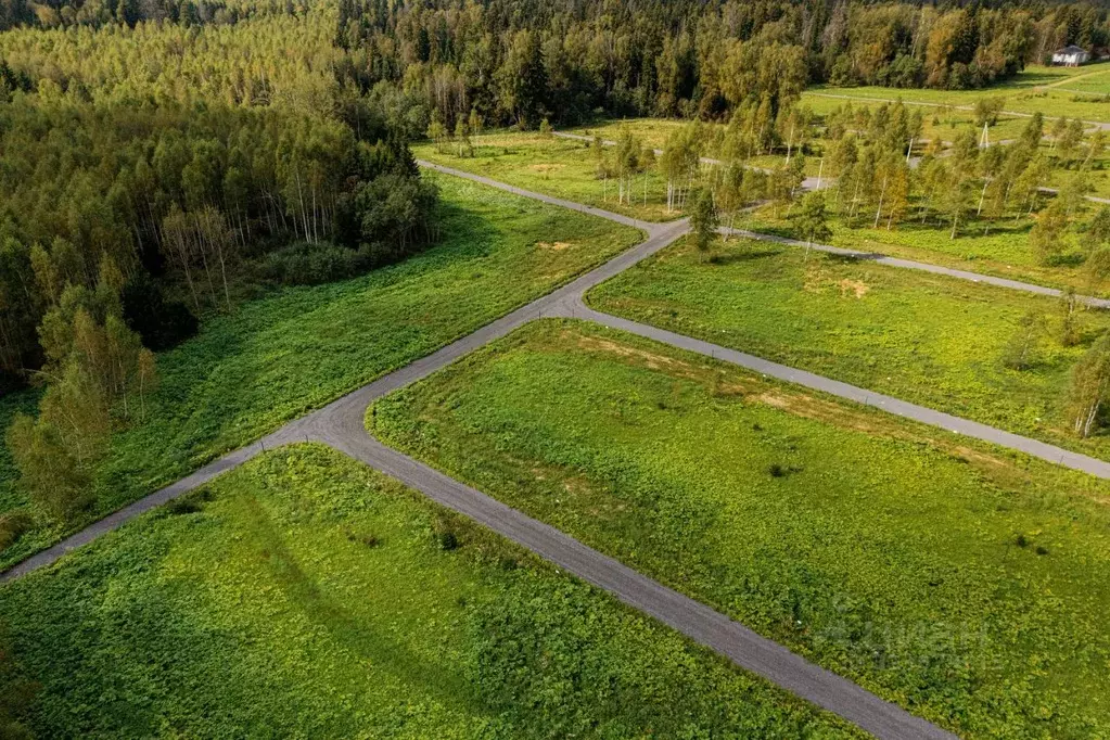 Участок в Московская область, Солнечногорск городской округ, д. ... - Фото 1