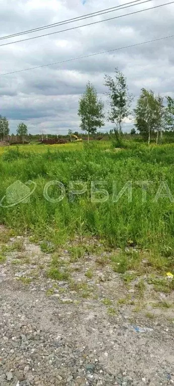 Участок в Тюменская область, Тюмень Поле Чудес-2 садовое товарищество, ... - Фото 2