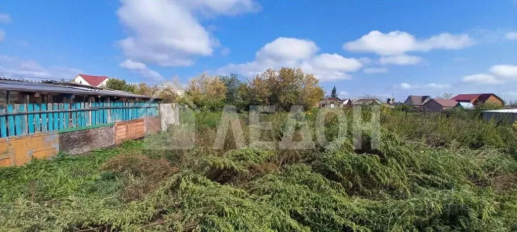 Участок в Омская область, Любинский рп ул. Южная, 49 (6.0 сот.) - Фото 1