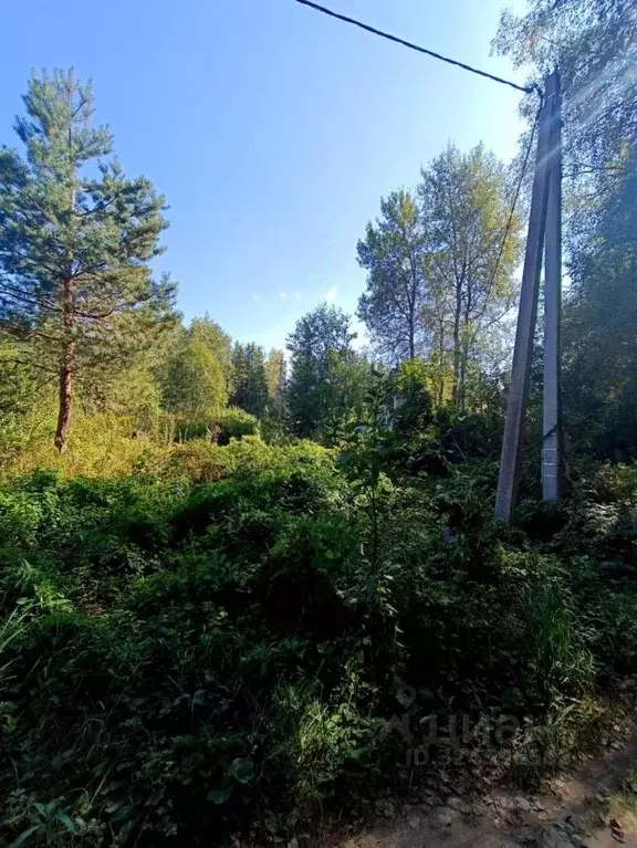 Участок в Калужская область, Ферзиковский муниципальный округ, ... - Фото 1