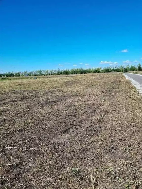 Участок в Воронежская область, с. Новая Усмань, Соловьиный мкр  (10.0 ... - Фото 2