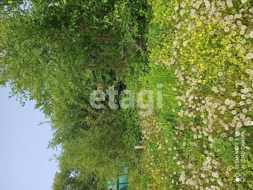 Купить Участок В Благовещенске Ижс
