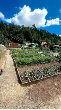 Дом в Иркутская область, Шелехов Дружба СНТ, 20 (22 м) - Фото 2