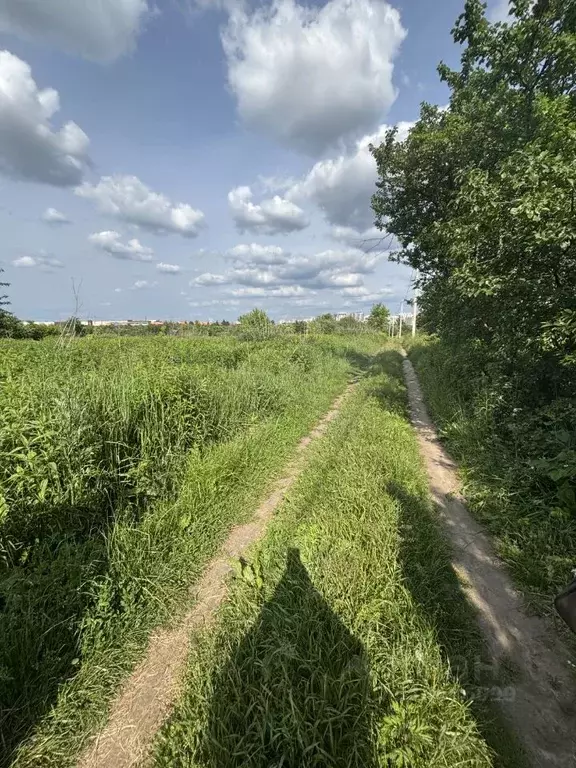 Участок в Брянская область, Брянский район, Снежское с/пос, пос. ... - Фото 2