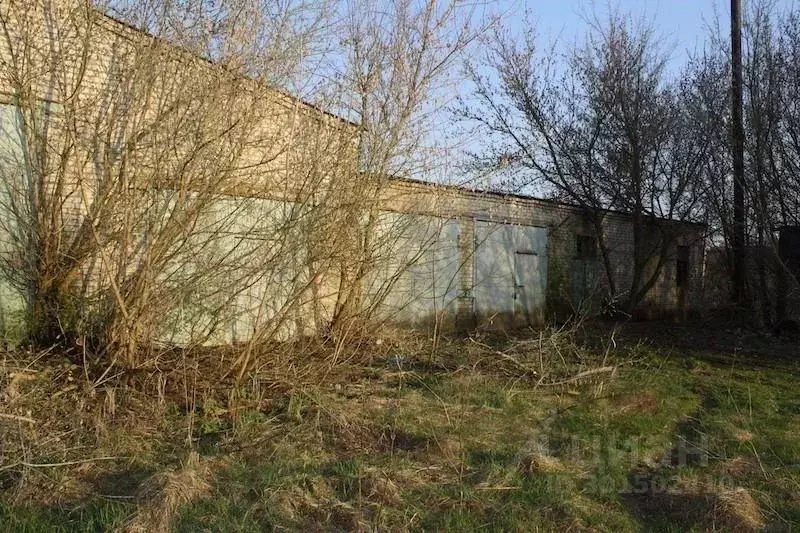 Помещение свободного назначения в Курская область, Кореневский район, ... - Фото 2