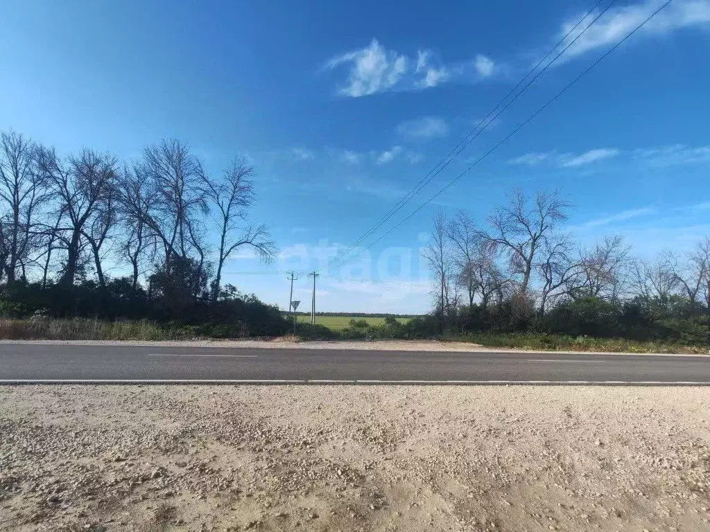 Участок в Владимирская область, Муром с. Ковардицы,  (625.0 сот.) - Фото 2