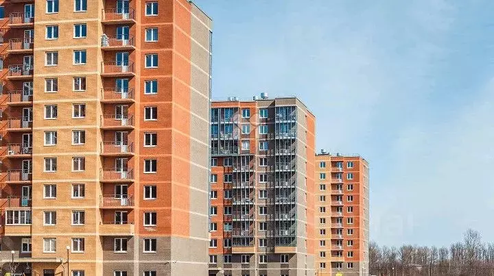 1-к кв. Санкт-Петербург, Санкт-Петербург, Колпино ул. Севастьянова, ... - Фото 2