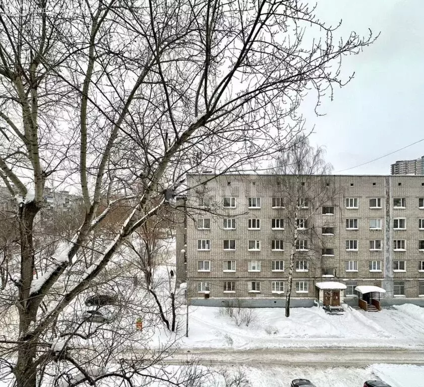 Квартира-студия: Пермь, Серебрянский проезд, 17 (18.1 м) - Фото 1