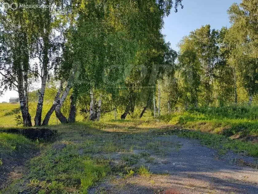 Участок в Тюменский район, село Кулига, коттеджный посёлок Альпийская ... - Фото 0