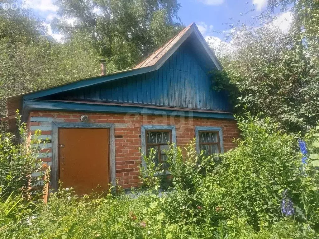 Дом в Чебаркуль, СНТ Медик (25 м) - Фото 0