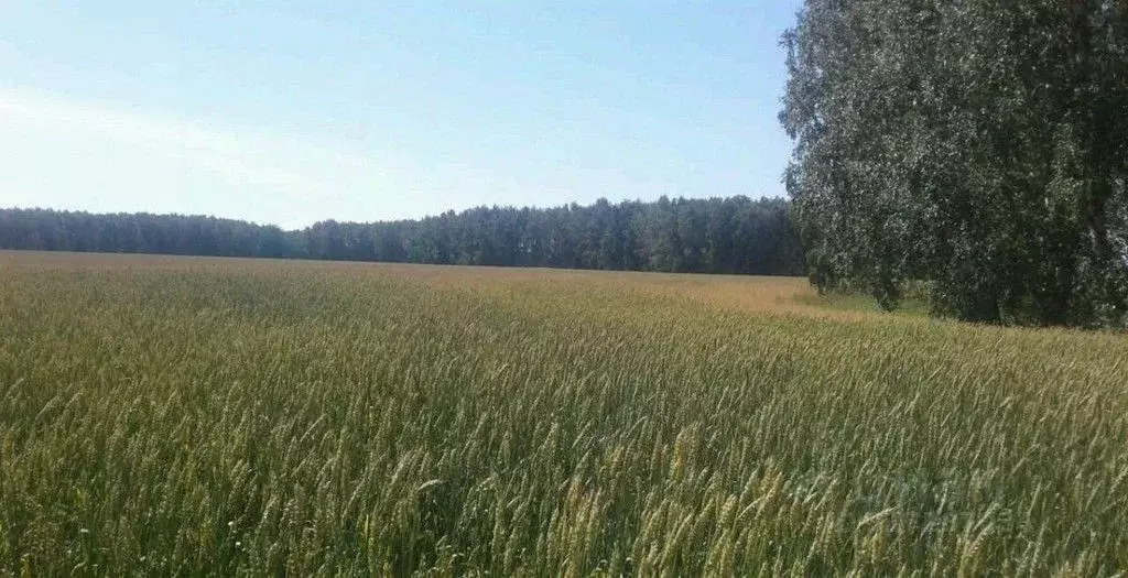 Участок в Омская область, Азовский Немецкий Национальный район, с. ... - Фото 0