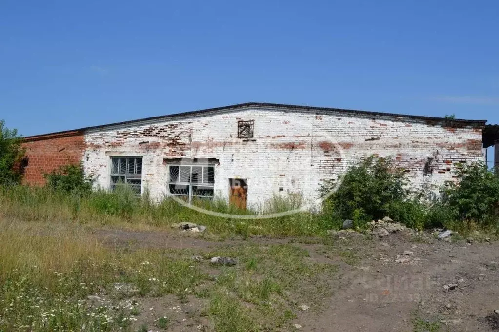 Производственное помещение в Пермский край, Оса Южная ул., 2А (1176 м) - Фото 2