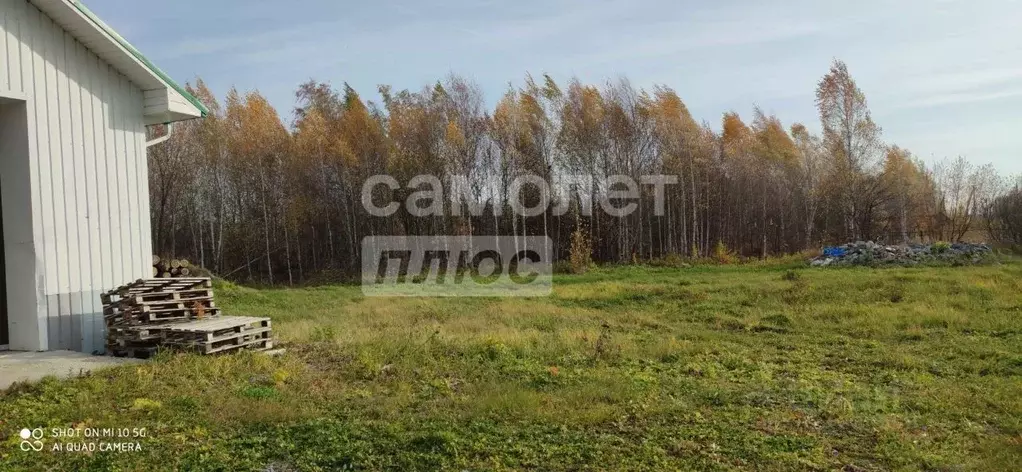 Производственное помещение в Тюменская область, Тюменский ... - Фото 2