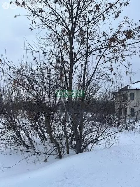 Участок в посёлок Мичуринский, Центральная улица (16 м) - Фото 1