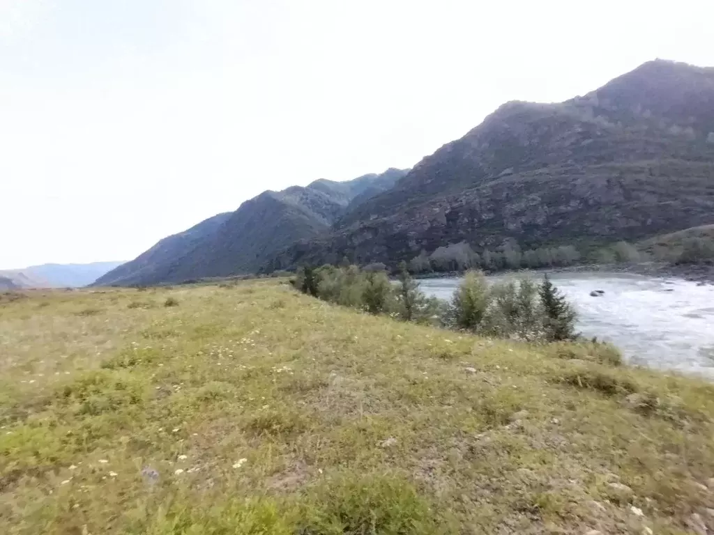 Участок в Алтай, Чемальский район, с. Куюс Центральная ул. (12.0 га.) - Фото 1