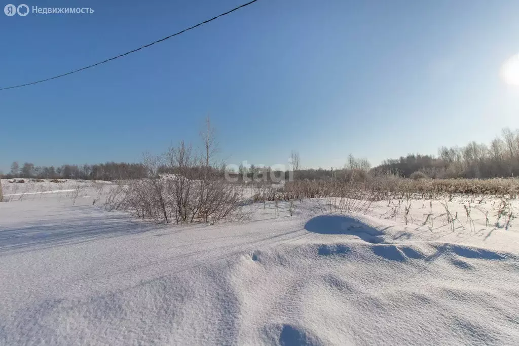 Участок в Нижнетавдинский район, СНТ Нерда (8.5 м) - Фото 1