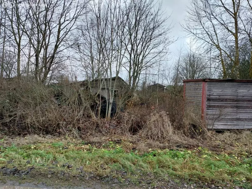 Участок в Рабитицкое сельское поселение (16.9 м) - Фото 1