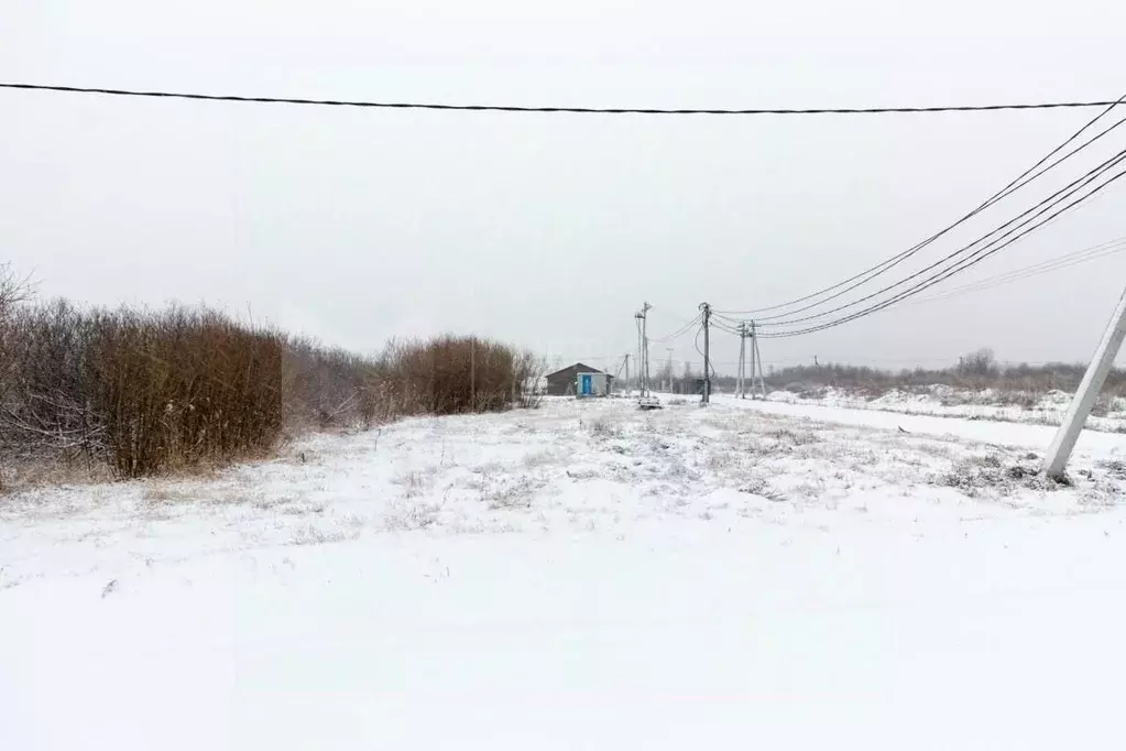 Участок в Тюменская область, Тюмень Большое Царево-1 СНТ,  (8.4 сот.) - Фото 1