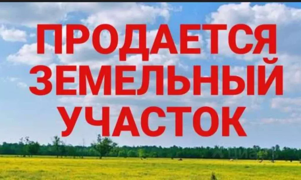 Участок в Ярославская область, Некрасовский муниципальный округ, ... - Фото 0