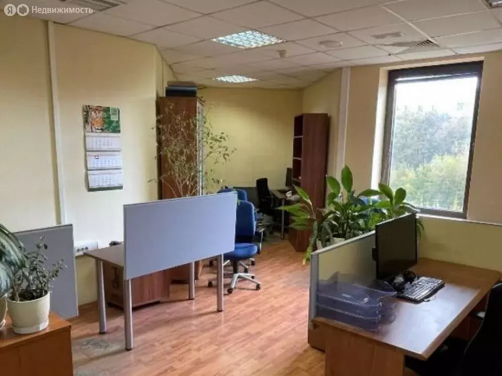 Офис (260.1 м) - Фото 2