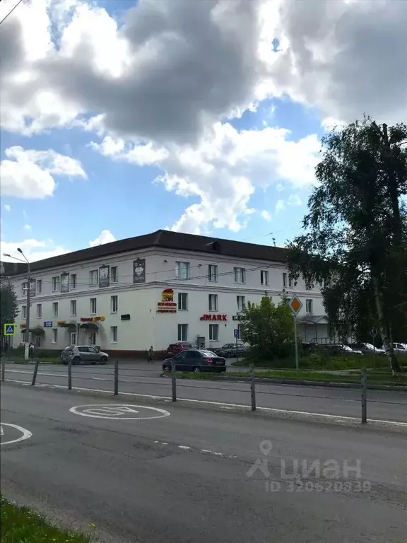 Торговая площадь в Московская область, Егорьевск просп. Ленина, 2 (450 ... - Фото 1