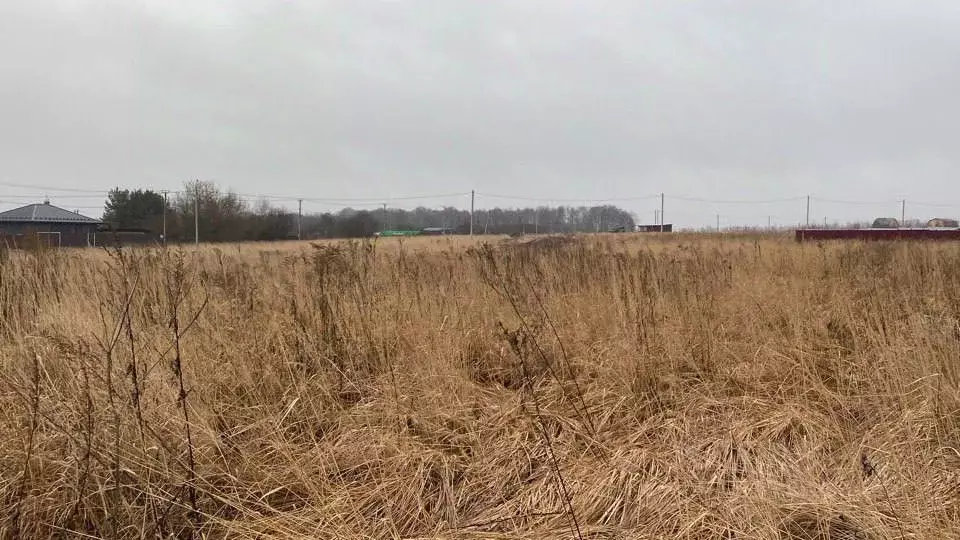 Участок в Московская область, Кашира городской округ, д. Тарасково ... - Фото 0