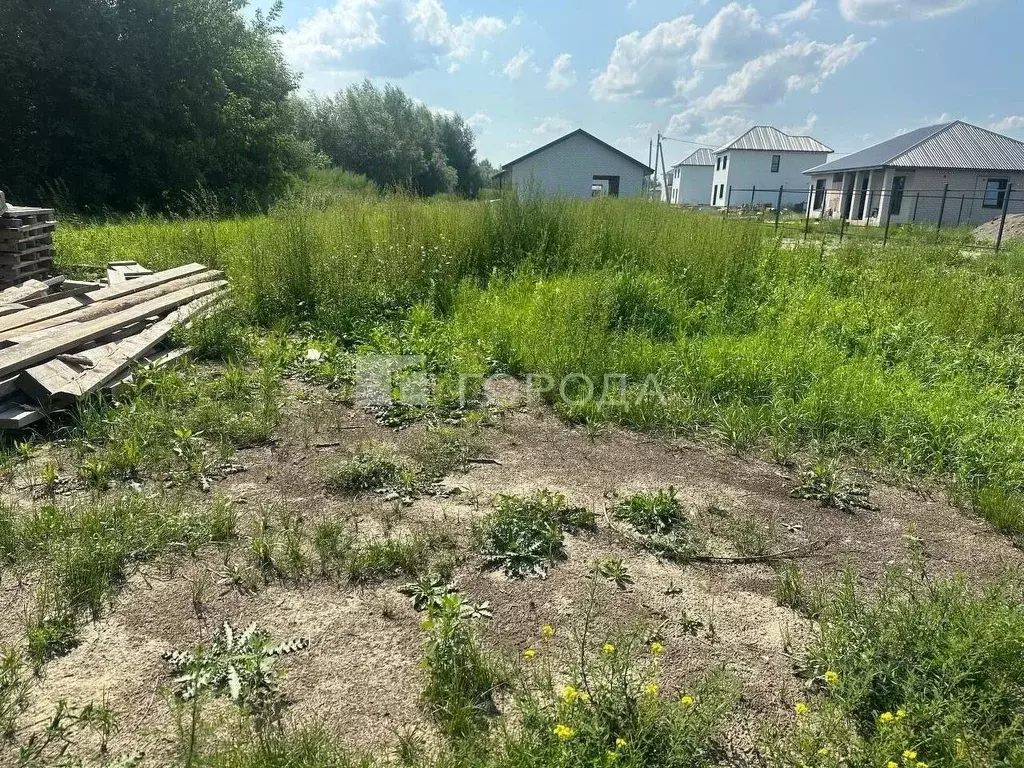 Участок в Алтайский край, Первомайский район, с. Фирсово, Старая Речка ... - Фото 2