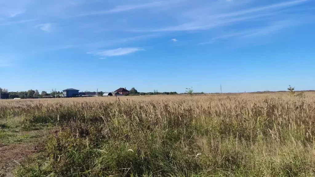 Участок в Московская область, Богородский городской округ, д. Ивашево  ... - Фото 1