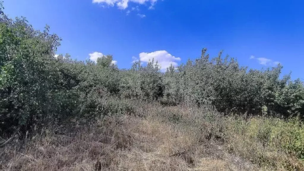 Участок в Ставропольский край, Ставрополь Зеленый Яр садовое ... - Фото 2