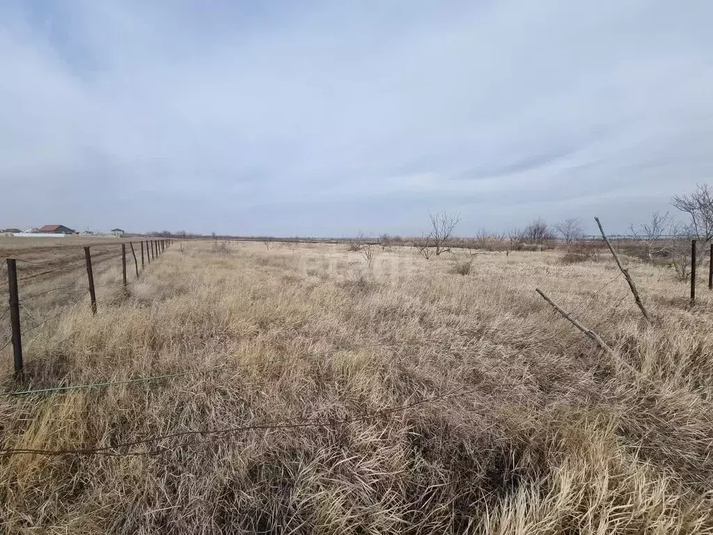 Участок в Волгоградская область, Дубовка ул. Имени Шолохова (6.7 сот.) - Фото 1