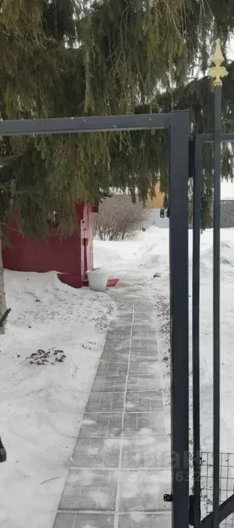 Дом в Омская область, Омск СНТ Ромашка ТСН, аллея 6-я, 31 (35 м) - Фото 2