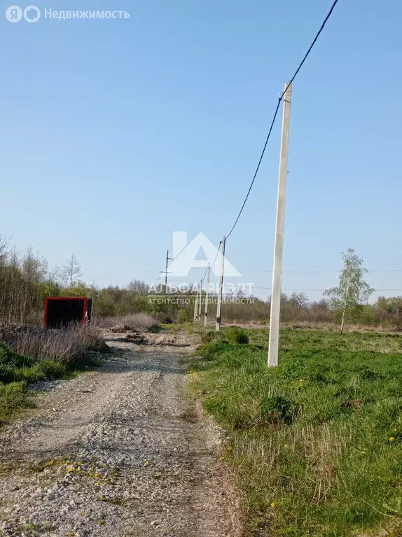 Участок в Калининградская область, Гурьевский муниципальный округ, ... - Фото 0