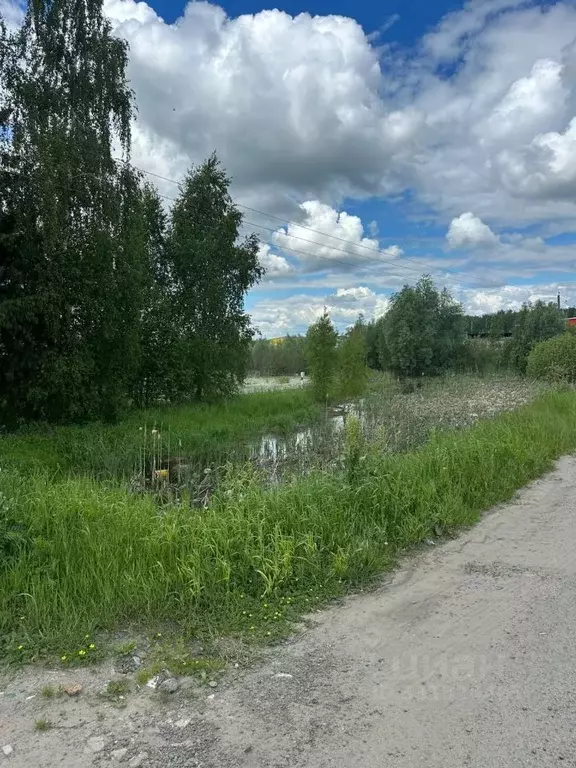Участок в Московская область, Раменский муниципальный округ, д. ... - Фото 1