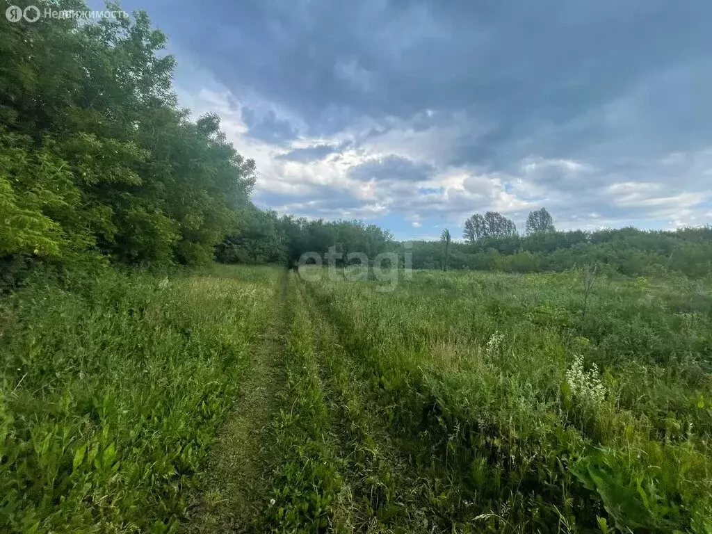 Участок в Ульяновский район, посёлок Тимирязевский (12 м) - Фото 1