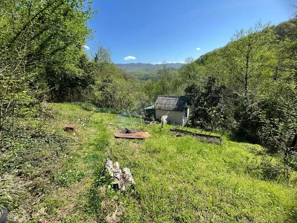 Участок в Краснодарский край, Сочи городской округ, с. Пластунка, ... - Фото 1