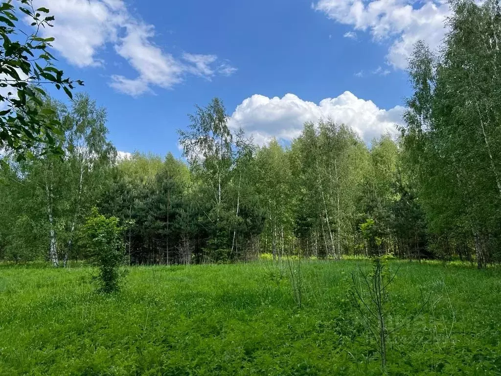 Участок в Московская область, Раменский городской округ, д. Минино  ... - Фото 0