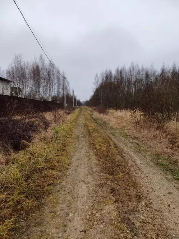 Участок в Московская область, Можайский муниципальный округ, Искона ... - Фото 2