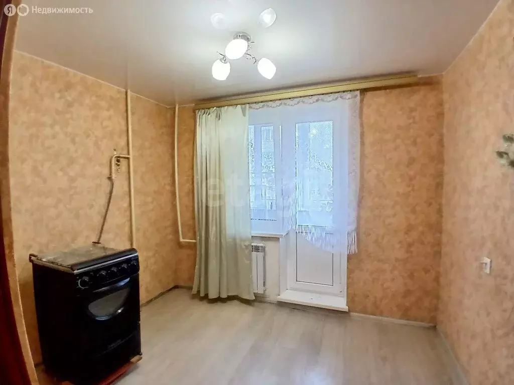 1-комнатная квартира: деревня Кисельня, Центральная улица, 12 (33.5 м) - Фото 2