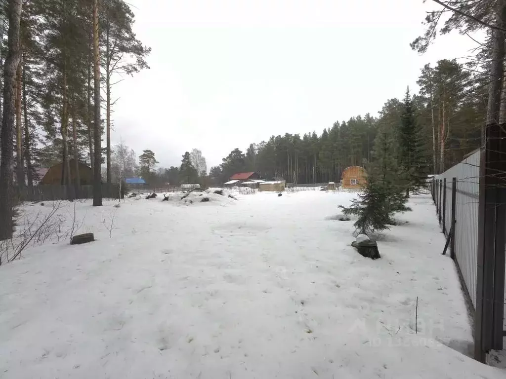 Участок в Томская область, Томский район, с. Курлек Таежная ул. (14.0 ... - Фото 1