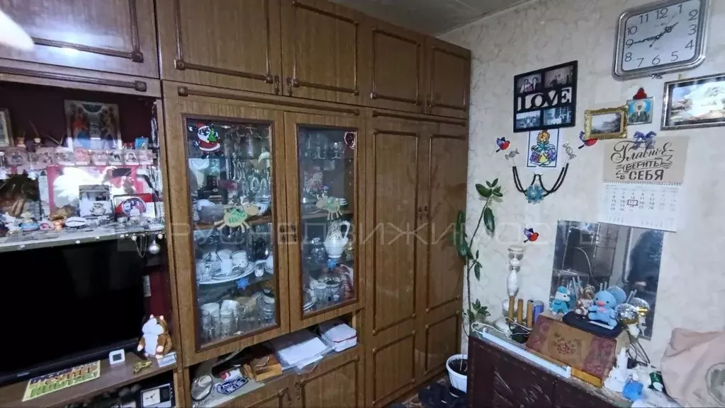 1-к кв. Кировская область, Киров ул. Воровского, 123 (20.3 м) - Фото 2