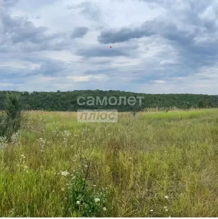 Участок в Воронежская область, Рамонский район, Березовское с/пос, с. ... - Фото 1