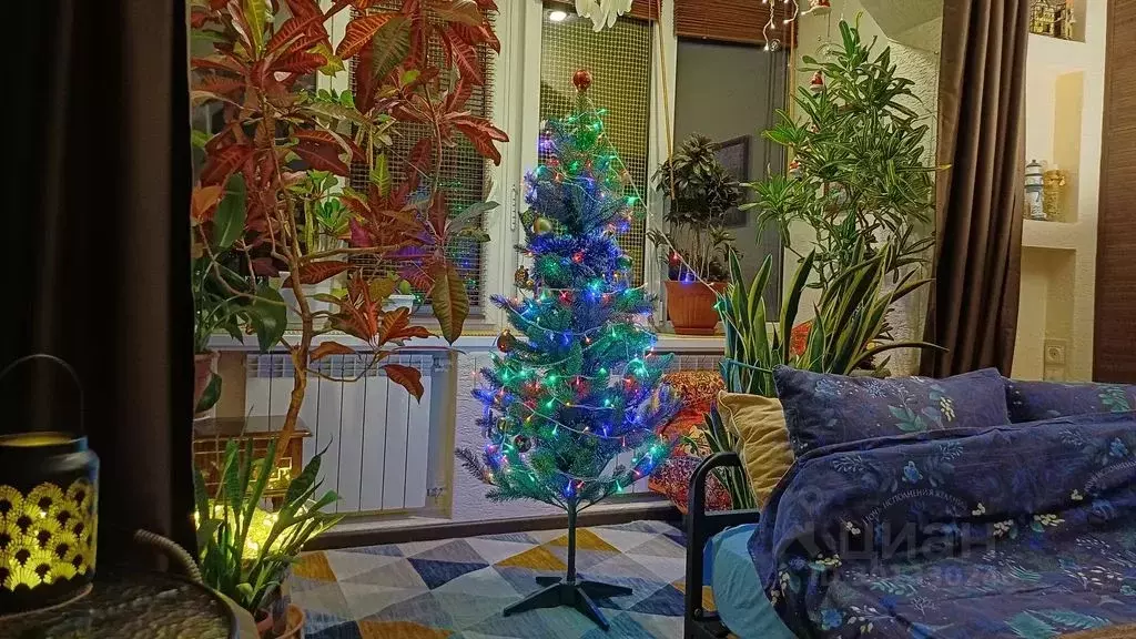 Комната Санкт-Петербург Будапештская ул., 66К1 - Фото 2