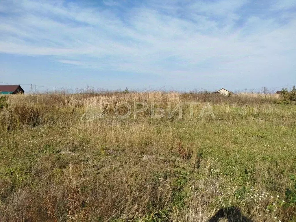 Участок в Тюменская область, Тюменский муниципальный округ, с. Борки  ... - Фото 1