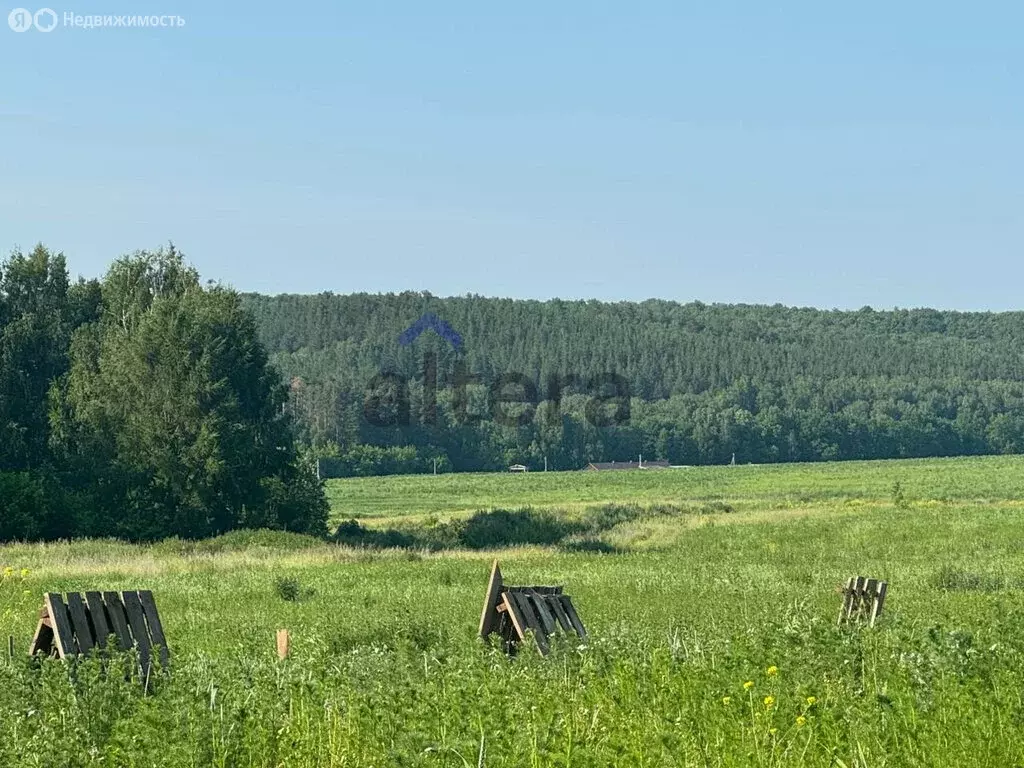 Участок в село Пановка, Полевая улица (13 м) - Фото 1
