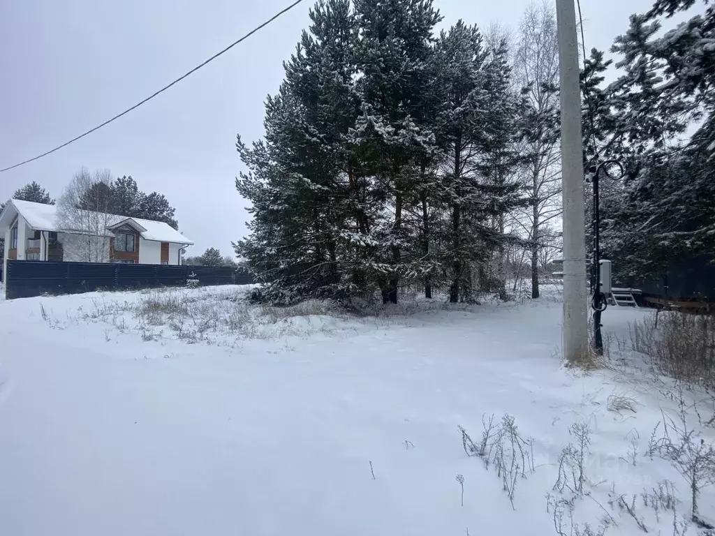 Участок в Пензенская область, Бессоновский район, пос. Подлесный, ... - Фото 2