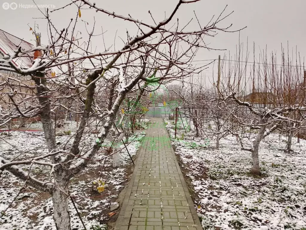 Участок в Крымск, садоводческое товарищество Ботаник, Загородная улица ... - Фото 1