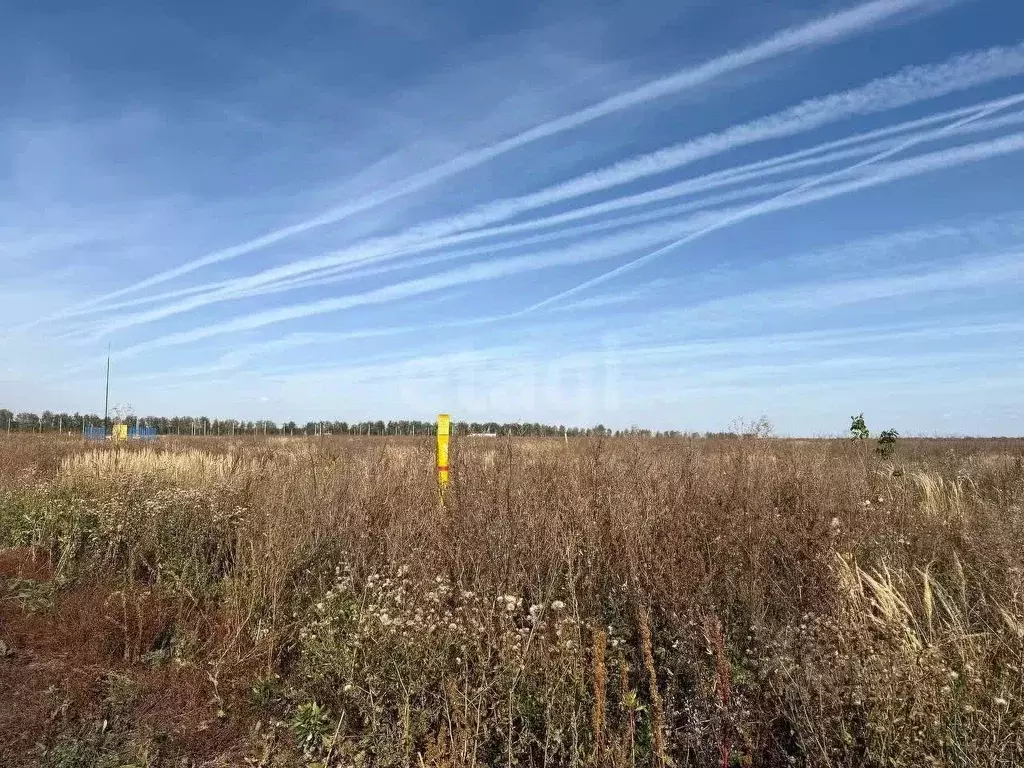 Участок в Тамбовская область, Тамбовский муниципальный округ, с. ... - Фото 1