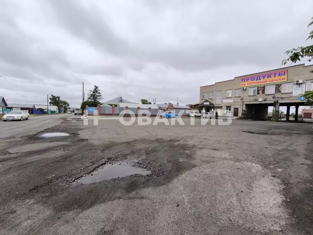 Помещение свободного назначения в Новосибирская область, Карасук ... - Фото 1